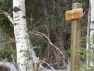 photo thumbnail #15