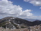 recent photo