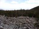recent photo