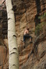 photo thumbnail #7