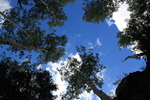 photo thumbnail #11