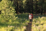 photo thumbnail #14