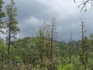 photo thumbnail #10