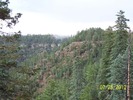 recent photo