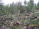photo thumbnail #9