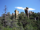 photo thumbnail #2