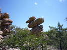 photo thumbnail #9