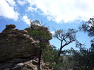 photo thumbnail #13