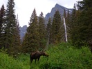 photo thumbnail #9