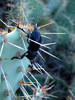 photo thumbnail #1