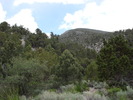 recent photo