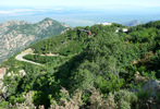 photo thumbnail #7