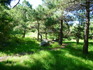 photo thumbnail #10