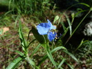photo thumbnail #11