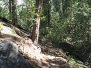 photo thumbnail #6