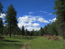 photo thumbnail #10