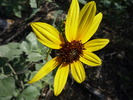 photo thumbnail #2