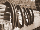 photo thumbnail #6