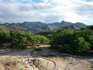 photo thumbnail #9