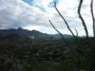 photo thumbnail #10