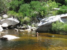 photo thumbnail #1