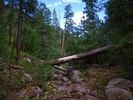 photo thumbnail #2