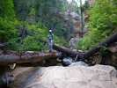 photo thumbnail #8