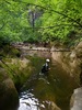 photo thumbnail #12