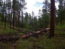 photo thumbnail #1