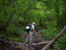 photo thumbnail #2