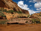 photo thumbnail #15