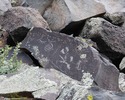 photo thumbnail #3
