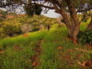 photo thumbnail #7