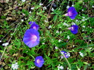 photo thumbnail #13