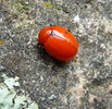 photo thumbnail #15