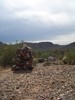 photo thumbnail #1