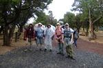 photo thumbnail #2