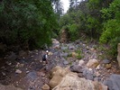 photo thumbnail #6