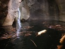 photo thumbnail #13