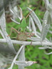 photo thumbnail #7