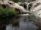 photo thumbnail #10