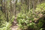 photo thumbnail #1