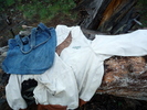 photo thumbnail #6
