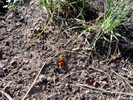 photo thumbnail #11