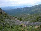 photo thumbnail #5