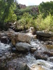 photo thumbnail #1
