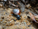 photo thumbnail #8