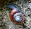 photo thumbnail #11