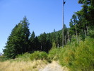 photo thumbnail #7