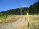 photo thumbnail #8